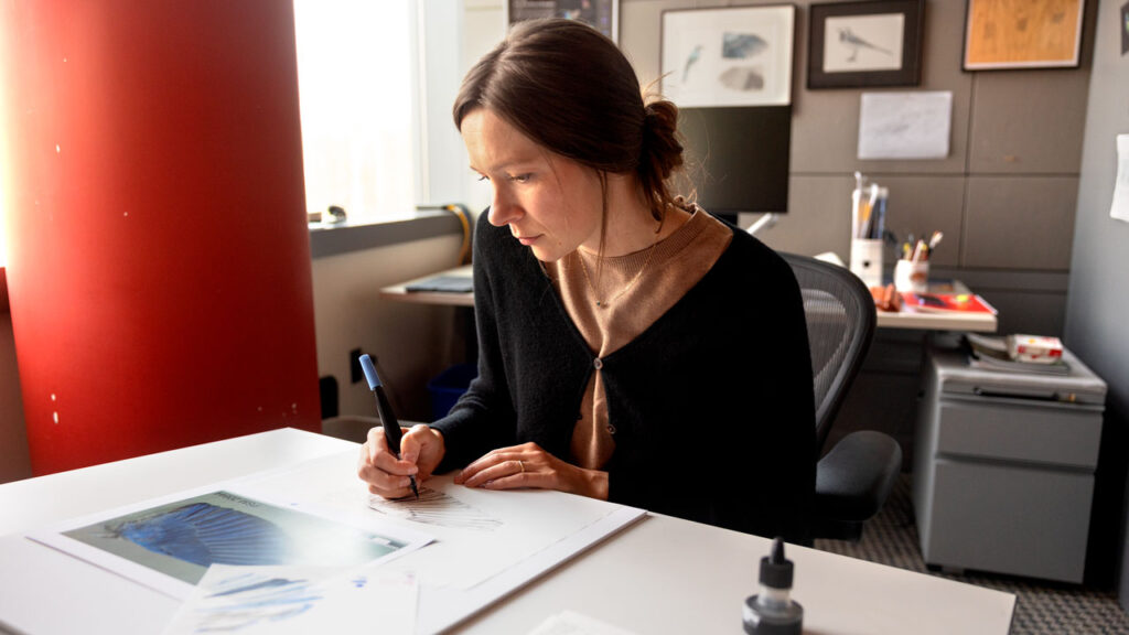 Jillian Ditner, the Lab of Ornithology graphic designer and science illustrator, works on an illustration at the Lab of Ornithology on Wednesday, October 30, 2025. (Ryan Young / Cornell University)