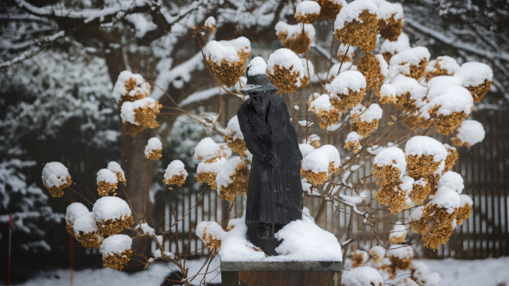 A statue of a woman in a hat and coat, surrounded by snow and snow-covered plants