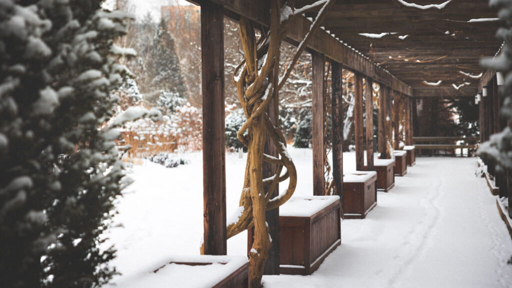 The Botanic Gardens loggia in winter