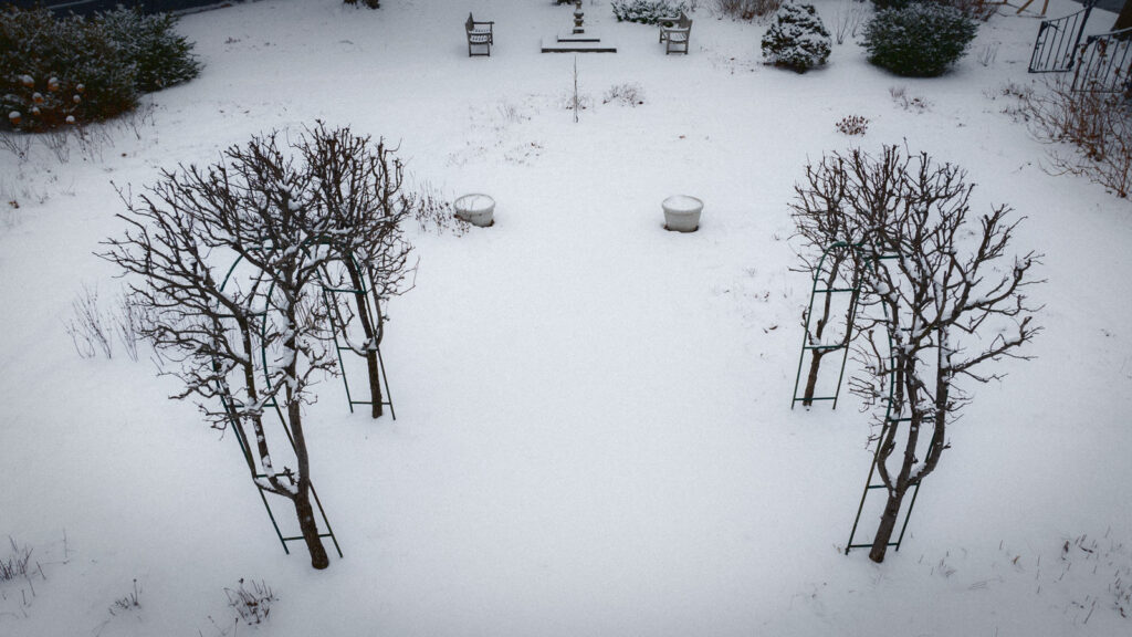 Bare branches over wrought iron arches in snow