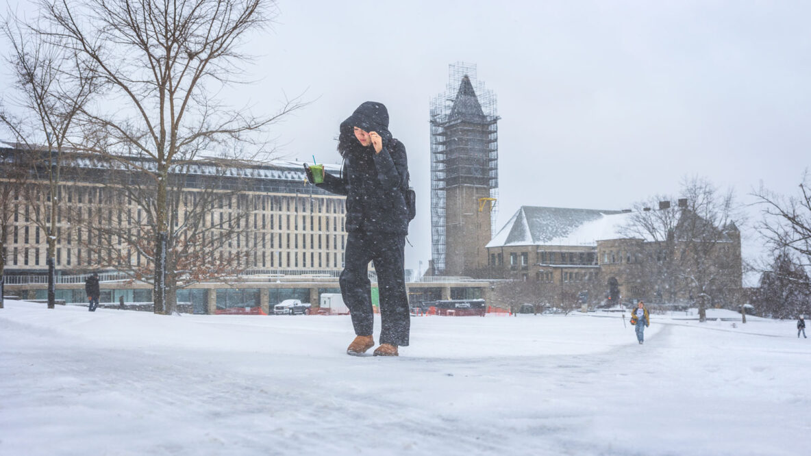 Walking in a Winter Wonderland