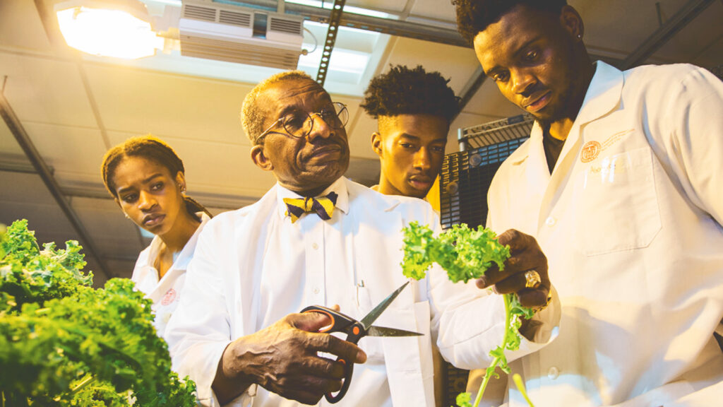 Philson Warner works with students in the Food and Finance High School hydroponics lab in NYC in 2017
