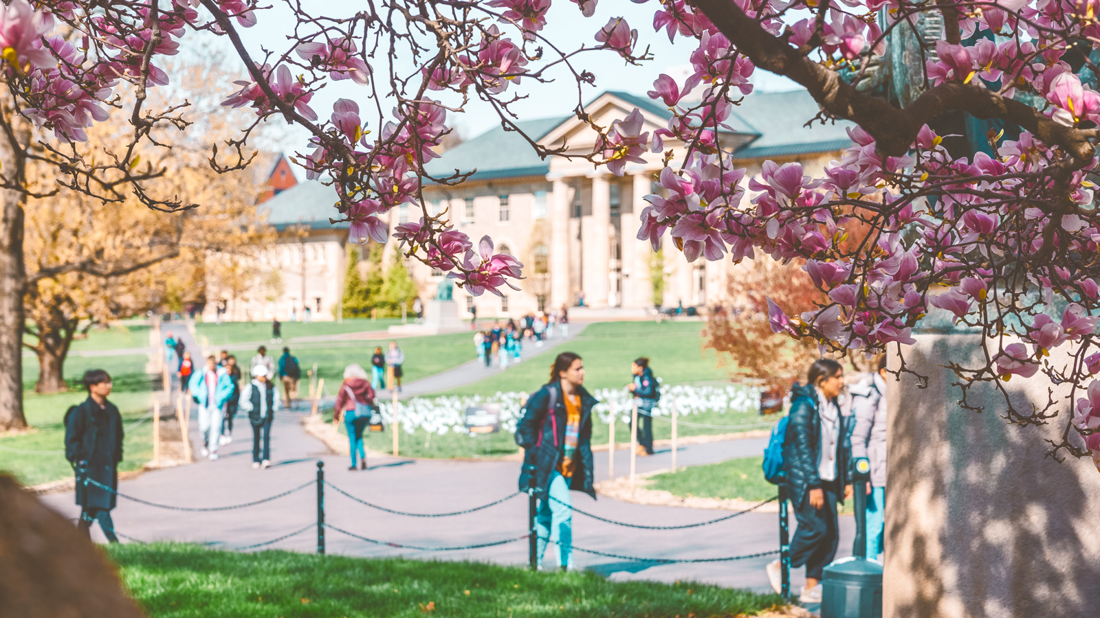 Students cross the Arts Quad on a sunny spring afternoon.