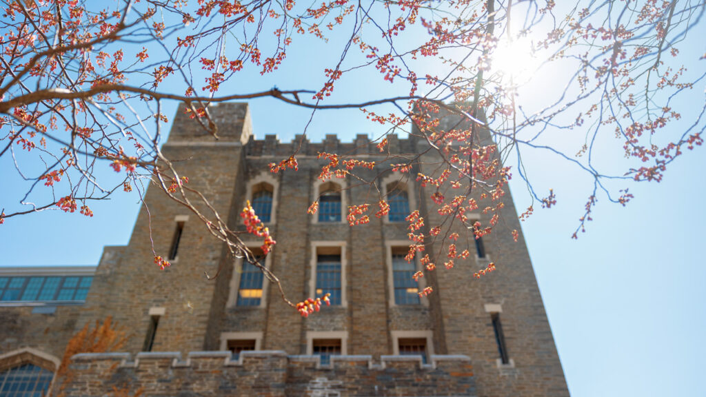 A Barton Hall tower viewed through a flowering tree