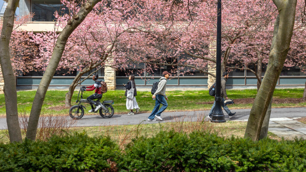 A cyclist and pedestrians outside Olin Library