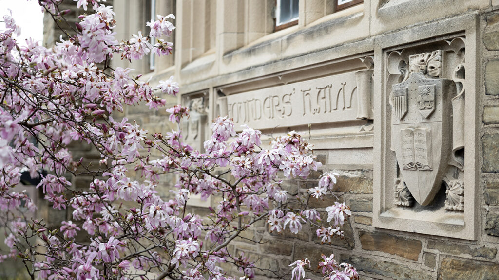 Pink blossoms outside Founders Hall