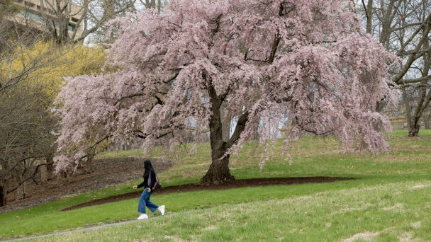 After a Long, Cold Winter, Spring Has—Finally!—Sprung on the Hill