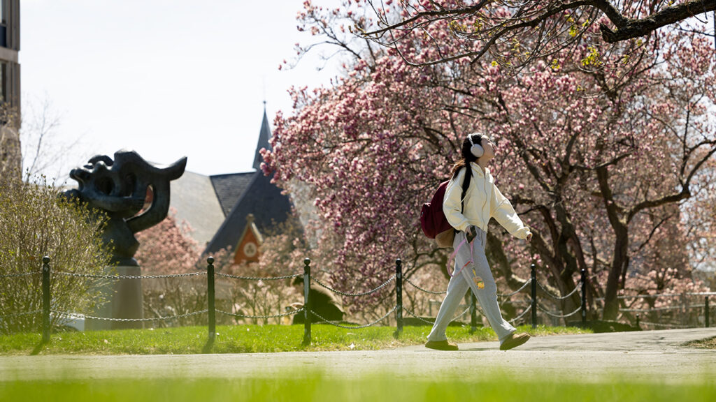 A student wearing headphones walks past a flowering tree and a sculpture