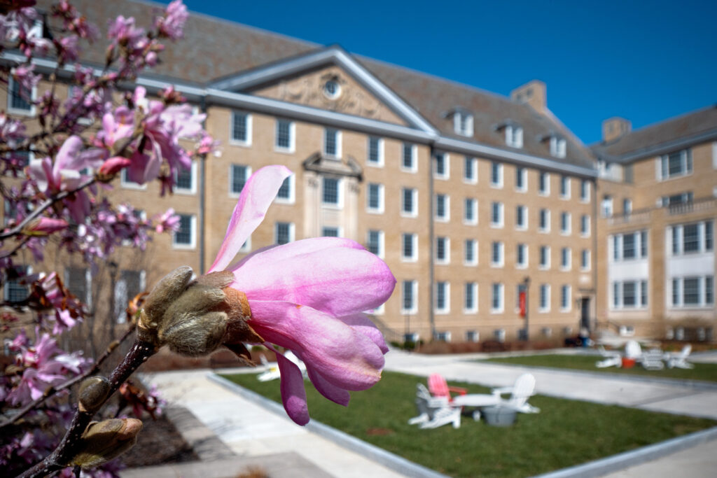 Spring flowers bloom by Martha Van Rensselaer Hall