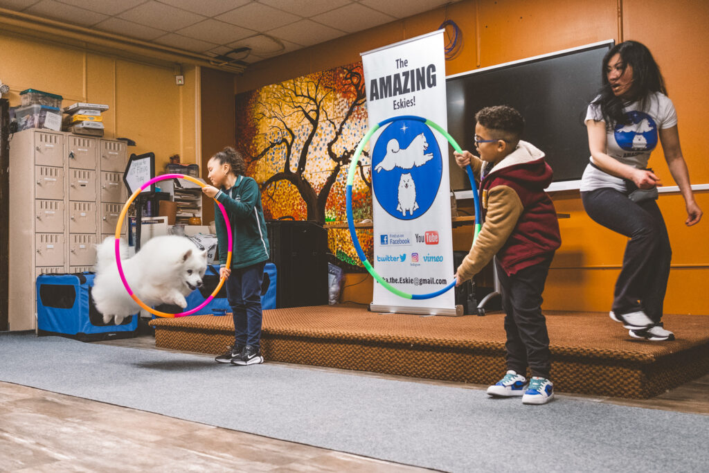 American Eskimo dog Kayu jumps through the first of two hoops held by children at the "Amazing Eskies" performance at the Kearny Public Library in April 2025
