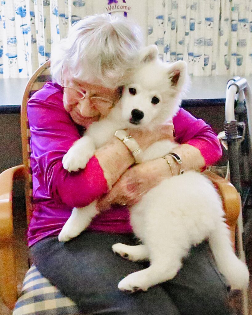 an American Eskimo puppy is hugged by a resident of a nursing home