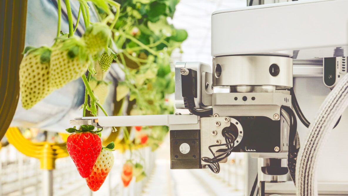 ‘R2-D2, Pick Me a Berry’: Alum’s Firm Grows Fruit with Robots