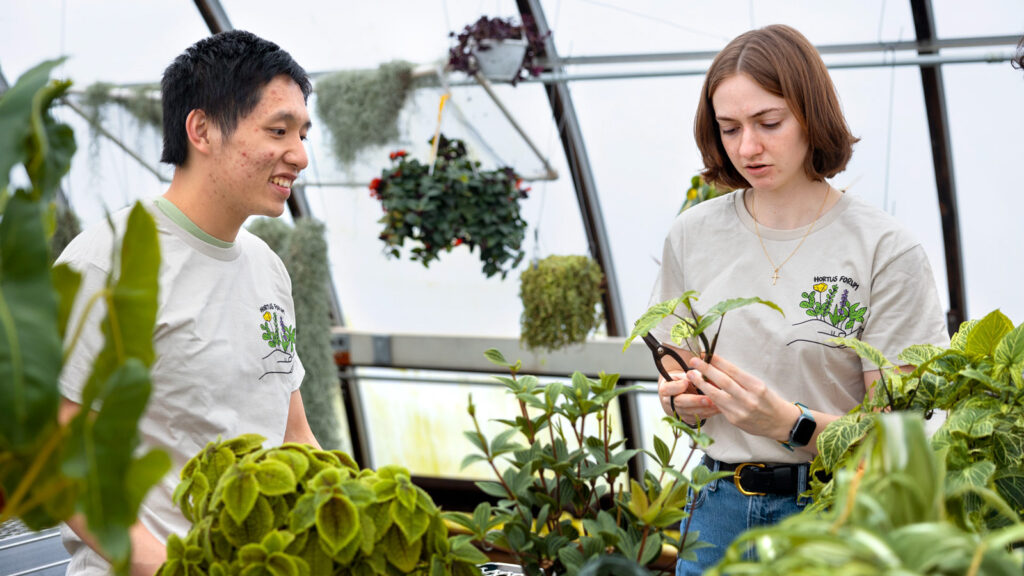 A student trims a plant in the greenhouse surrounded by plants while another watches and smiles.