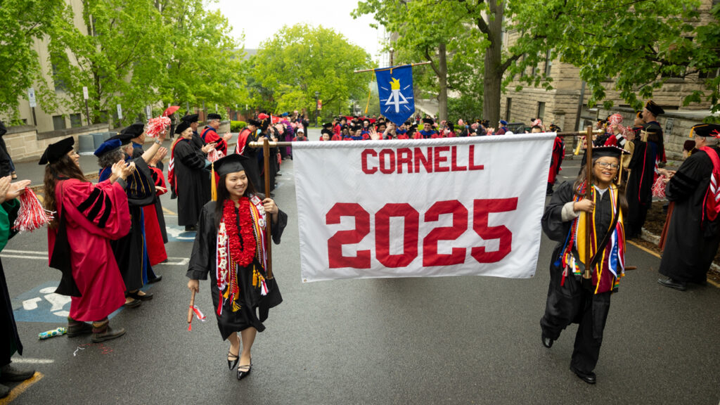Two graduates from the class of 2025 wear their academic regalia and walk through campus while holding a white banner that says "Cornell 2025" on it while others follow behind them in a line.