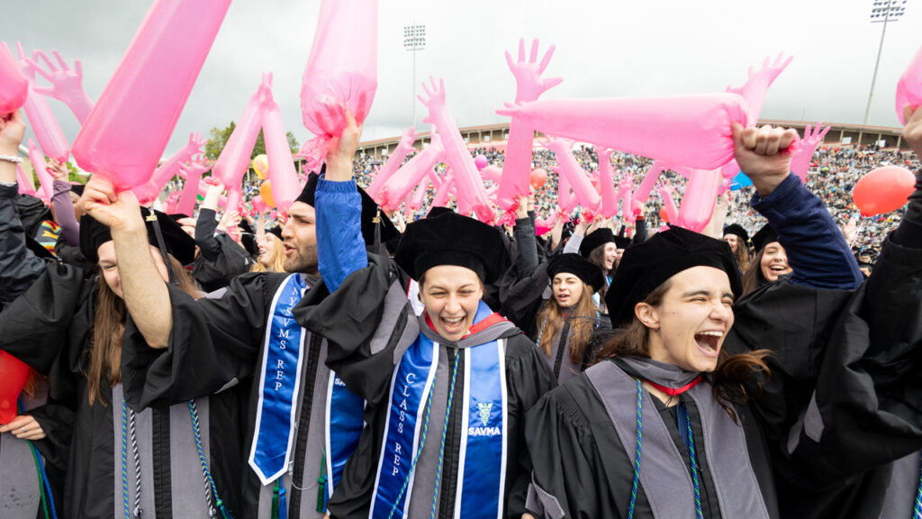 Graduates from the class of 2025 wear their academic regalia and cheer while waving pink inflatable hands in the air to celebrate with.