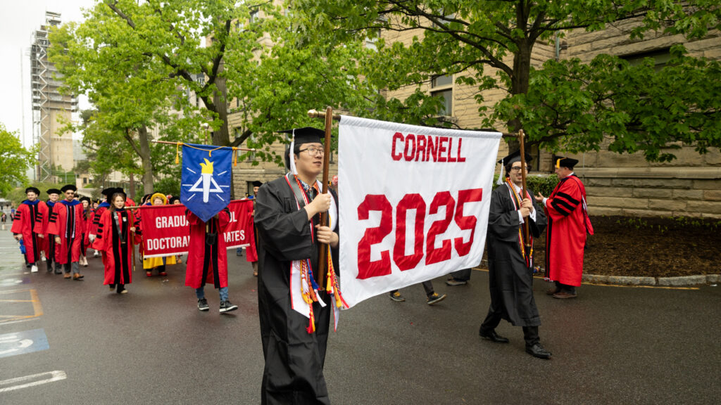 Two graduates from the class of 2025 wear their academic regalia and walk through campus while holding a white banner that says "Cornell 2025" on it while others follow behind them in a line.