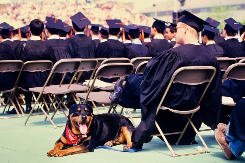 a dog wearing a red bandana lounges near graduates in the seating area in Schoellkopf Stadium in 1994