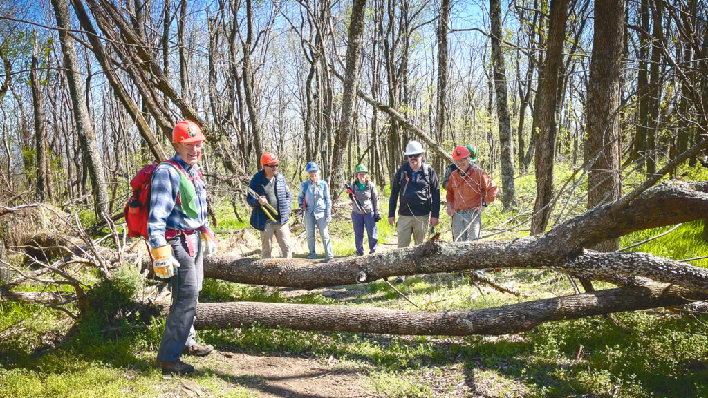 David Bowen leading a tree-cutting crew