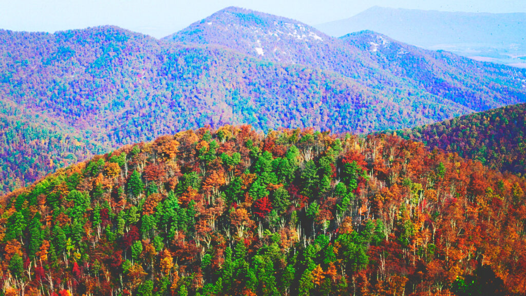 A fall view of Shenandoah National Park