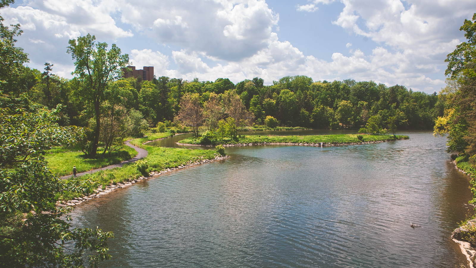 The walking trail near Beebe Lake in summer.