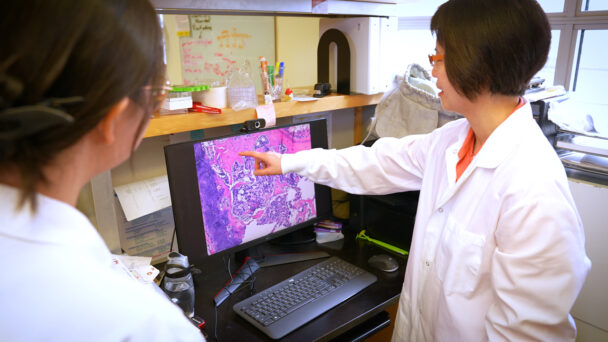 From Halting Cancer to Protecting Soldiers, Big Red Research Is at Risk