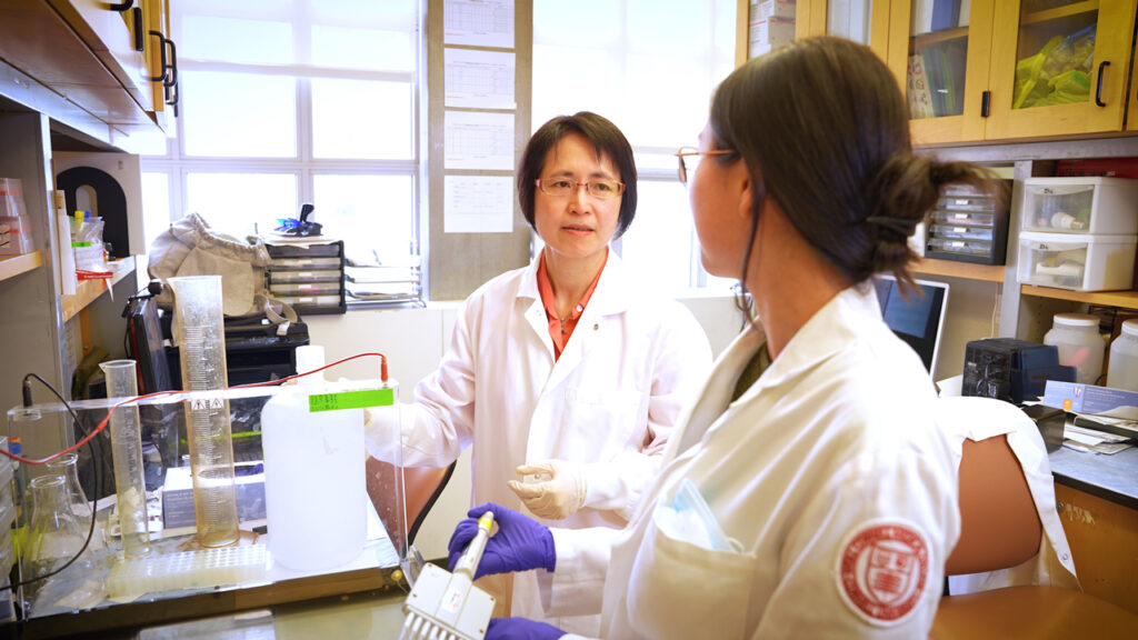 Dr. Nancy Du in the lab with a staffer