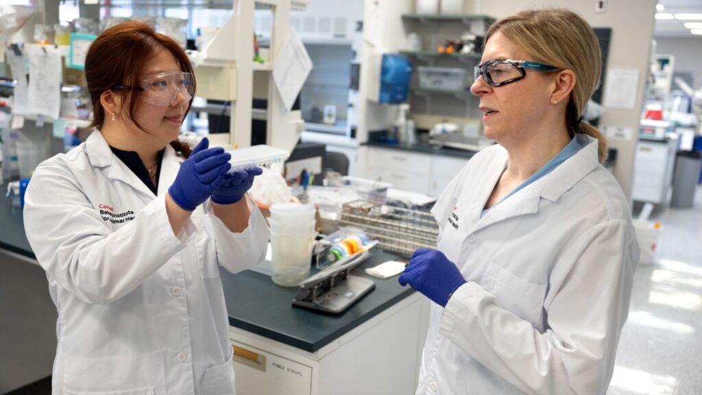 Sherry Wang, MPH ’24, research technician (left), and Laura Goodman, Ph.D. ’07, work in Goodman’s lab in the Baker Institute for Animal Health.