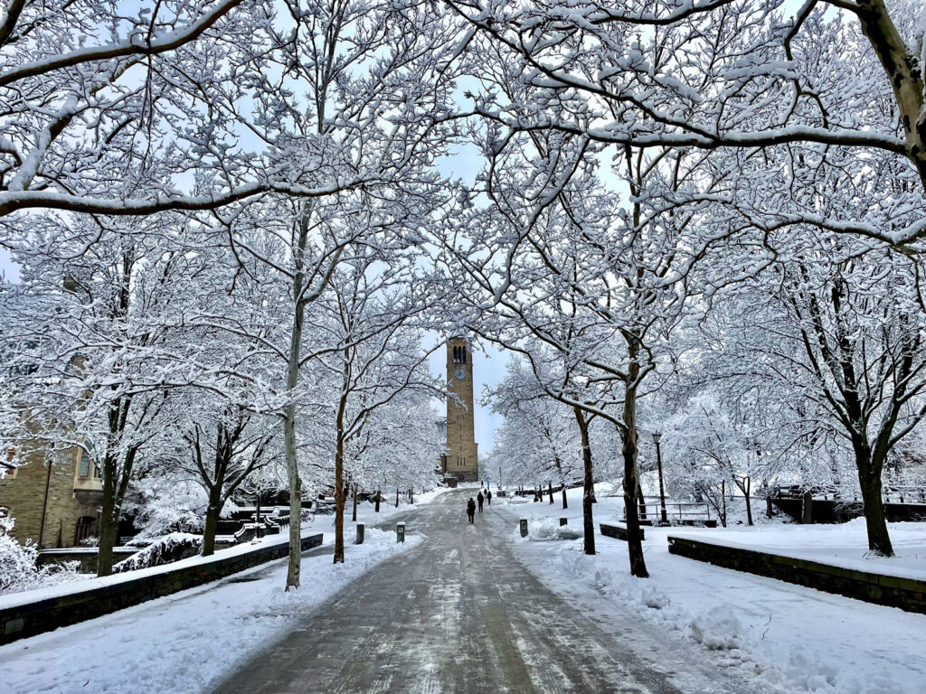 A plowed Ho Plaza pathway during the winter with trees covered in snow and McGraw Tower ahead