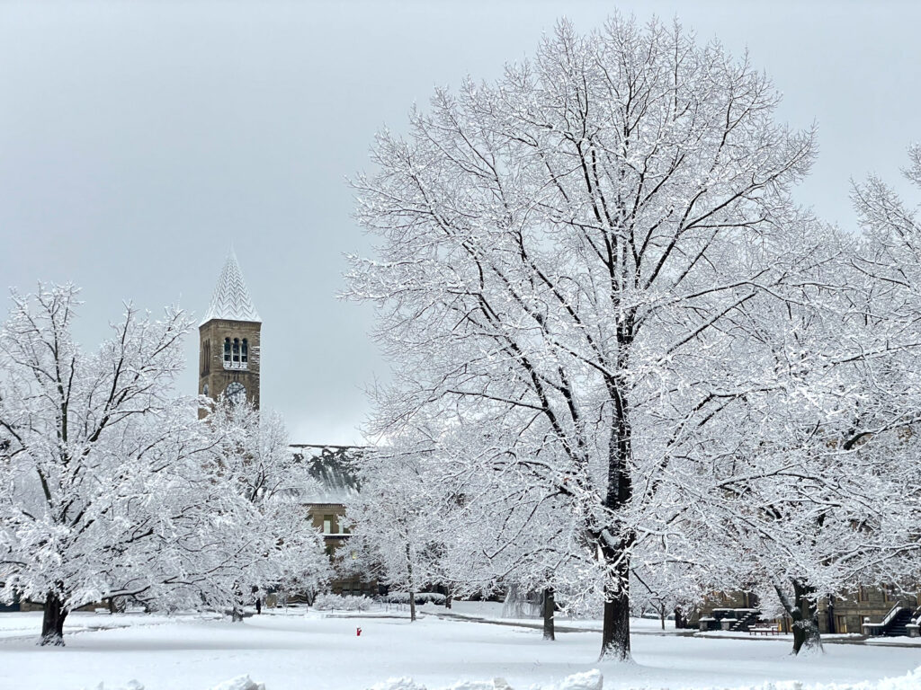 The ground and trees covered in snow on campus with a snowy McGraw Tower in the background