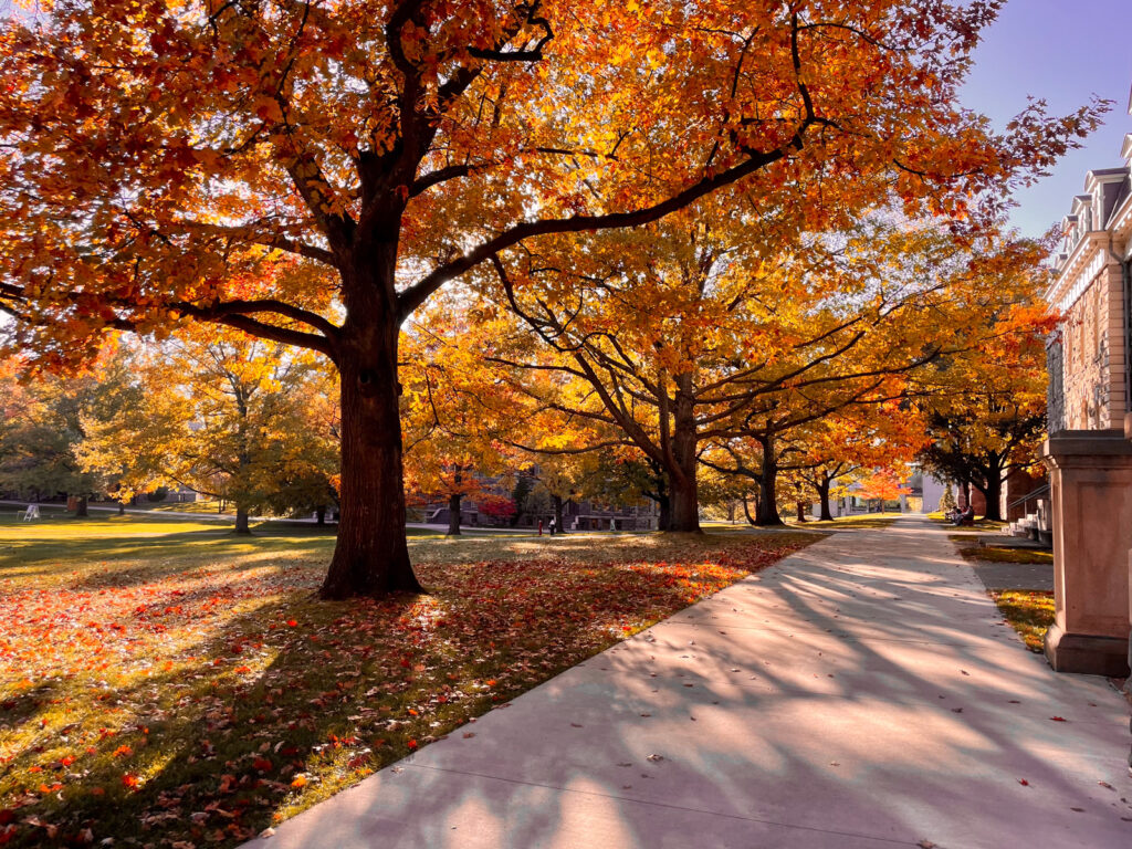 the Arts Quad pathway by Sibley Hall with orange and yellow trees and fallen leaves on the ground