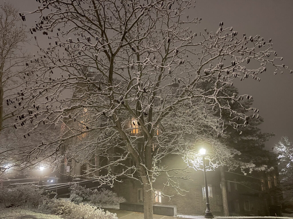 Willard Straight Hall in the wintry background with snow-covered trees in front, illuminated by light posts