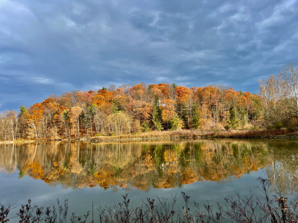The sky and yellow, orange, and green trees reflect off the water at Beebe Lake