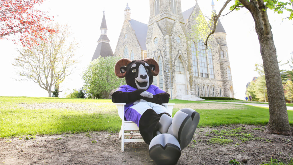 Cornell College’s mascot, Ulysses the Ram, relaxes on the Iowa campus