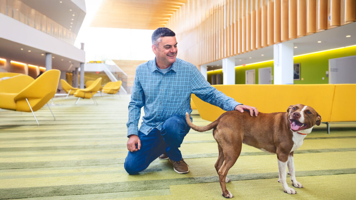 With a Woof and a Swab, Vet Prof’s Company Decodes Doggie DNA