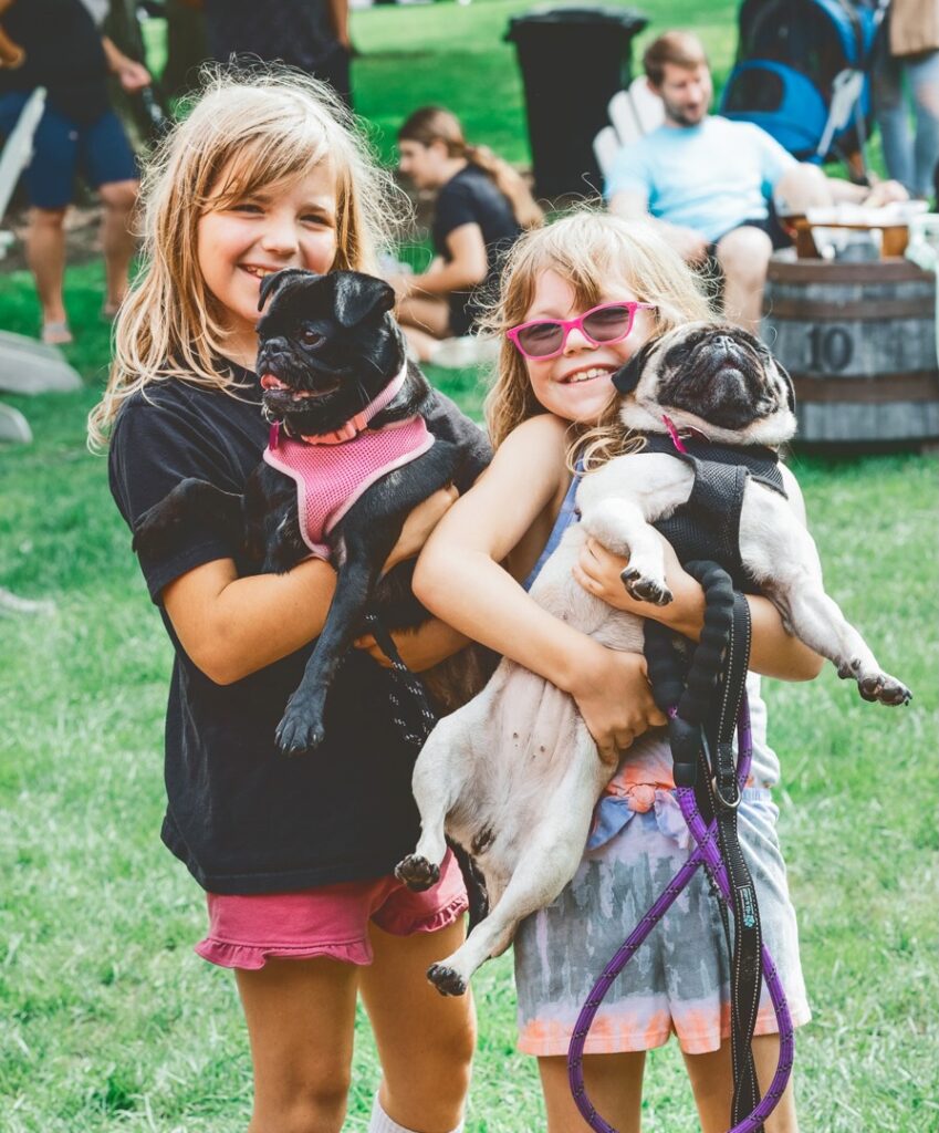 French bulldogs were special guests at last year's FrenchieCon at Brewery Ardennes