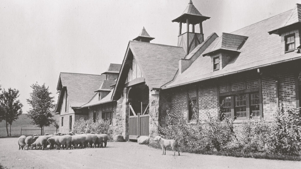 The barn was once part of a large sheep-farming complex in Geneva