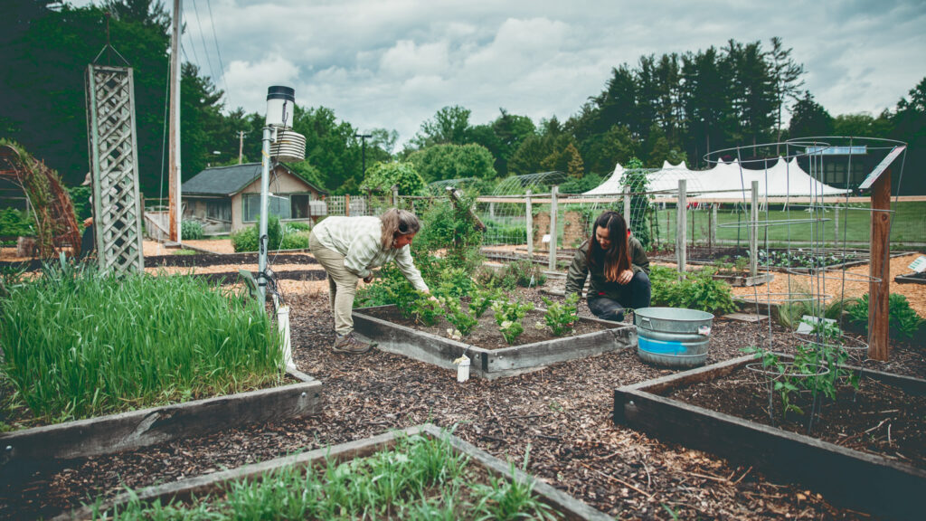 Two women work on raised beds in the CALS Climate Change Garden