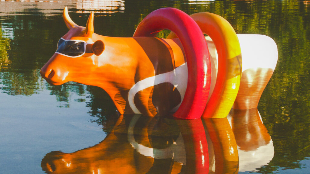 A fiberglass cow wearing two floating rings, in a pond