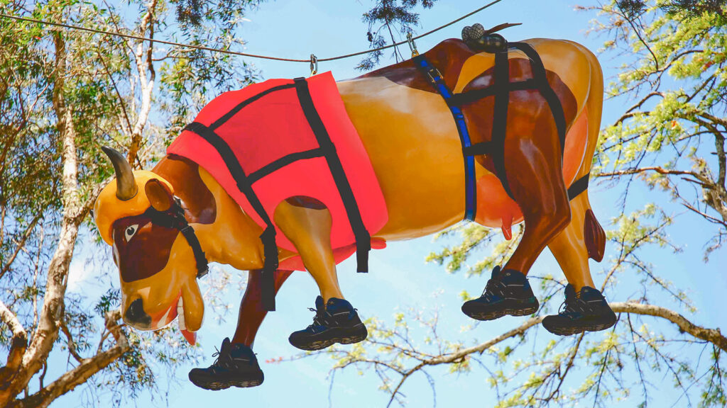 A fiberglass cow wearing a helmet and vest, hanging from a wire
