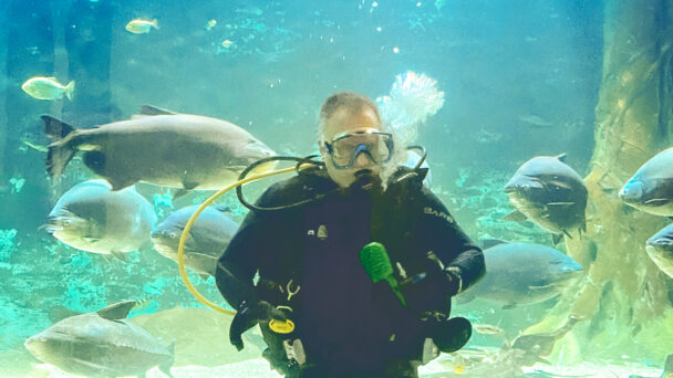 Aquarium Volunteer Swims with the Fishes (and Sharks and Turtles  …)