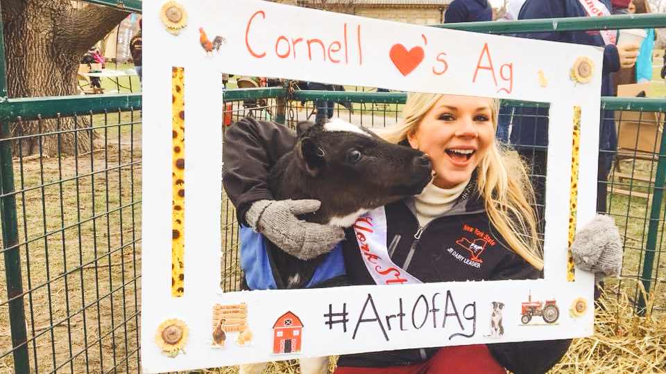 Hailey Pipher smiles next to a small cow in a cut-out poster board frame that says "Cornell loves Ag" during her time as a student.