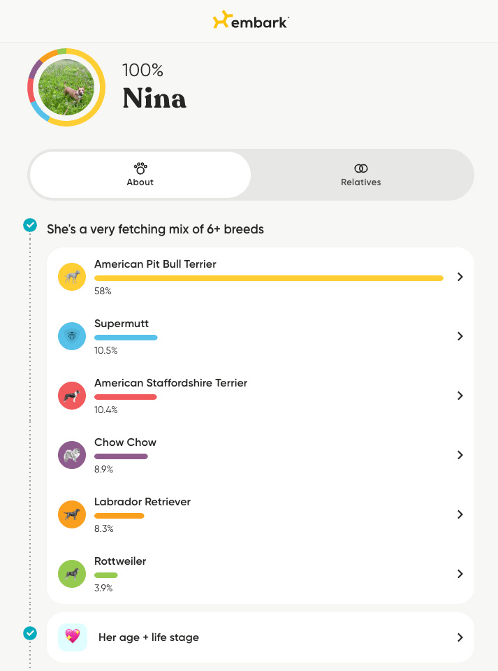 A screenshot from the app of results from a DNA test from a dog named Nina who is a mix of over 6 different breeds.