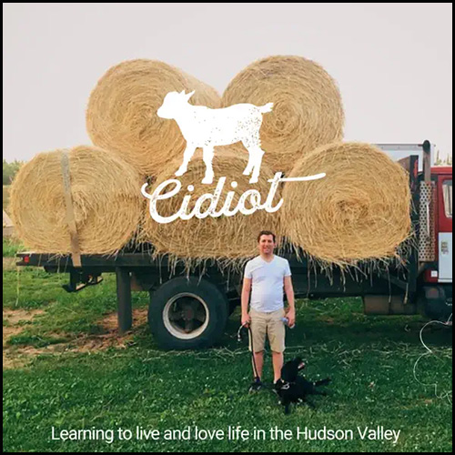 The podcast logo for Cidiot