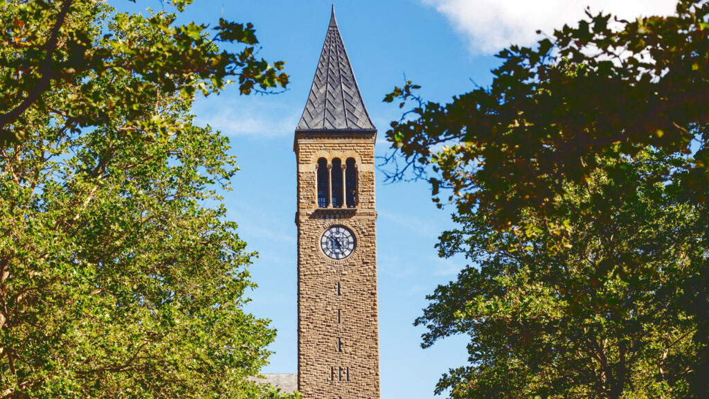 McGraw Tower's newly renovated roof is seen in this wide shot framed by trees