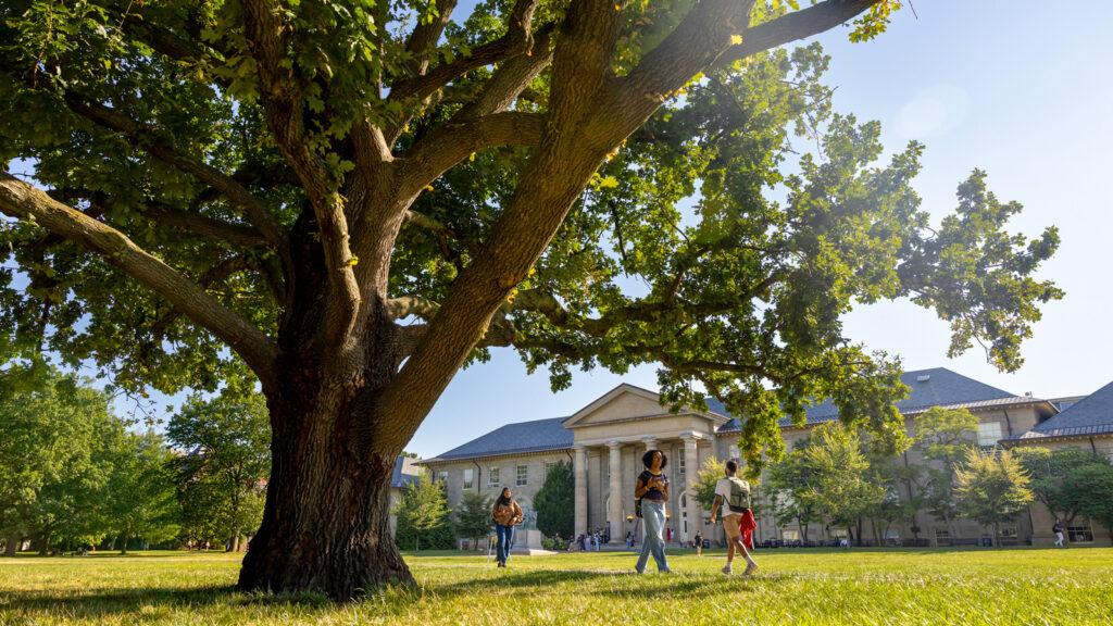 Students walk on a path through the Arts Quad underneath a tree with Goldwin Smith Hall in the background.
