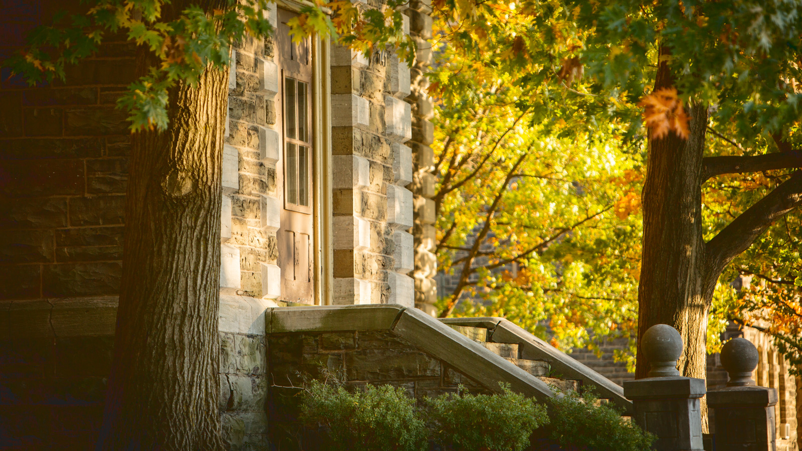 A close-up of McGraw Hall in fall