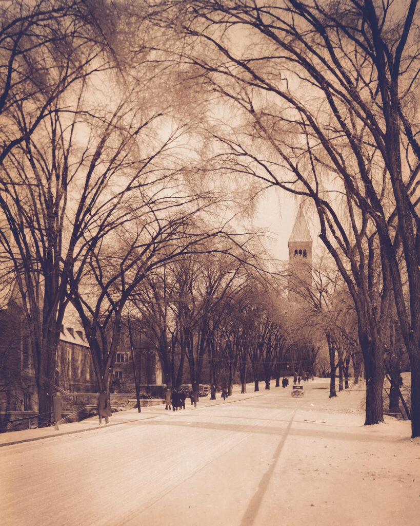 Elms arching over Central Avenue, looking north along Willard Straight Hall and leading to McGraw Tower, 1920s or 1930s