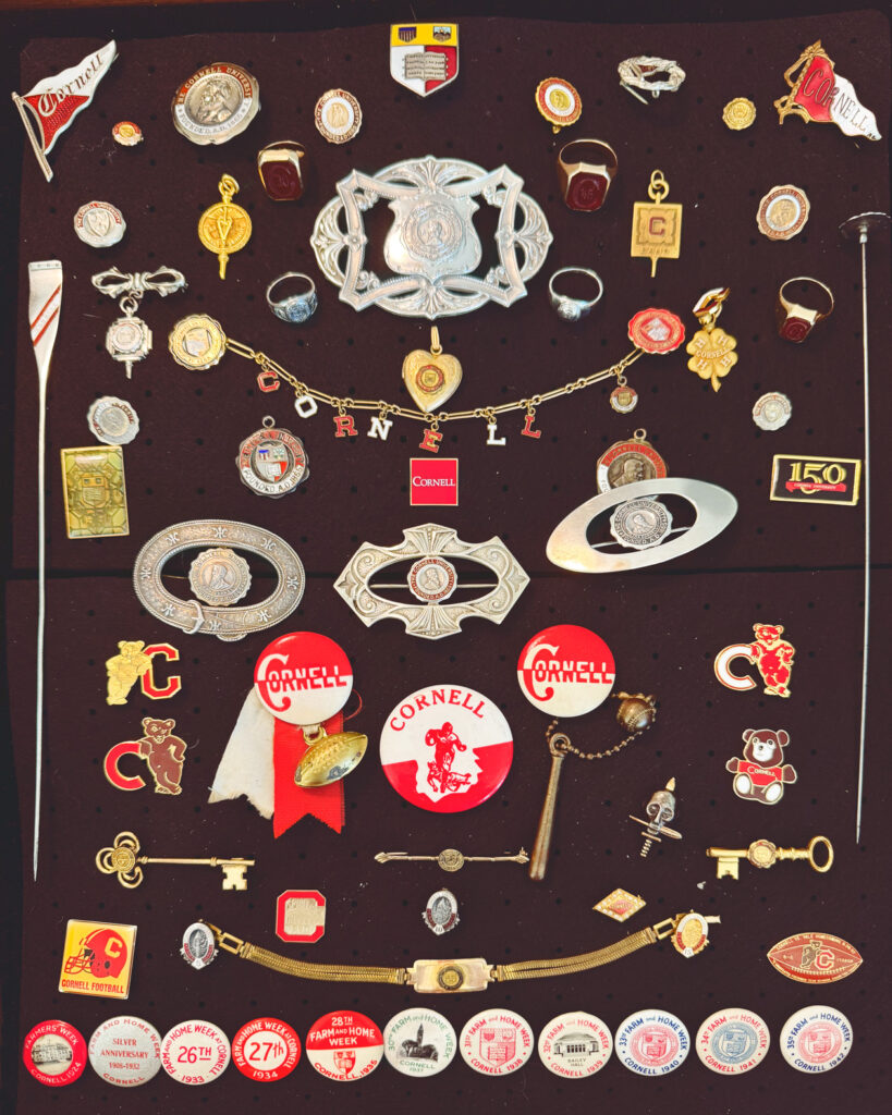 most of Kate Costa Leming's vintage Cornell pins, jewelry and memorabilia collection on a display board