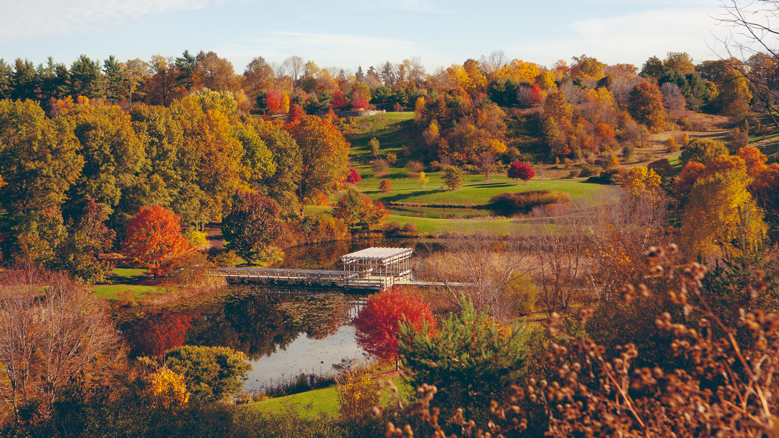 Botanic Gardens in the fall