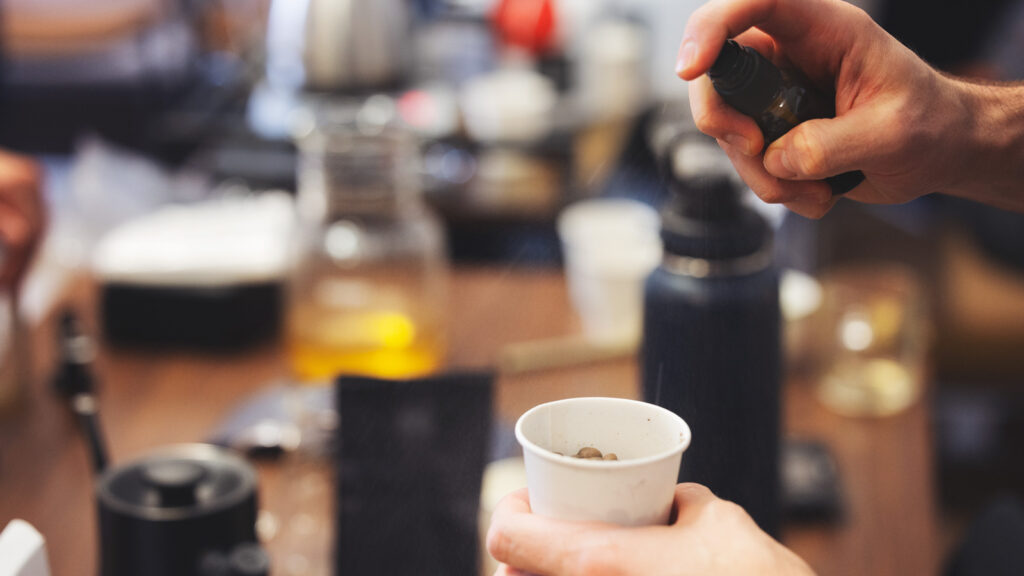 Coffee beans are spritzed with water prior to grinding during a meeting of the Cornell Coffee Club meet in Goldwin Smith Hall on Sunday, October 19, 2025. (Ryan Young / Cornell University)